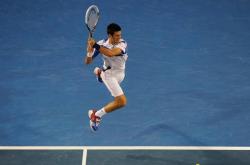 爱游戏体育-关于德约科维奇爆冷击败篮网，战术调整引爆全场！的信息